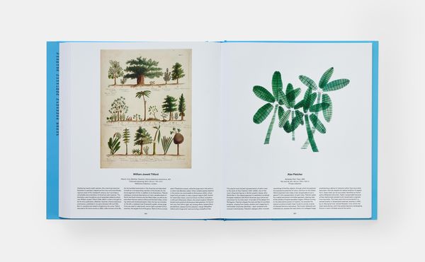 Produktbild: Tree
