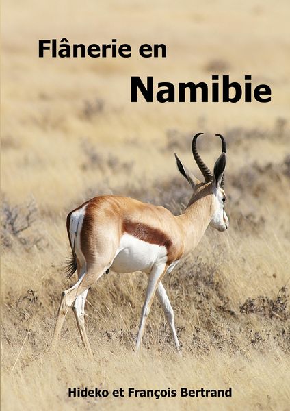 Produktbild: Fl&acirc;nerie en Namibie