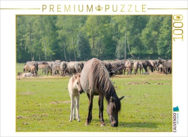 CALVENDO Puzzle Schutz bei der Mutter | 1000 Teile Lege-Größe 64x48cm Foto-Puzzle für glückliche Stunden