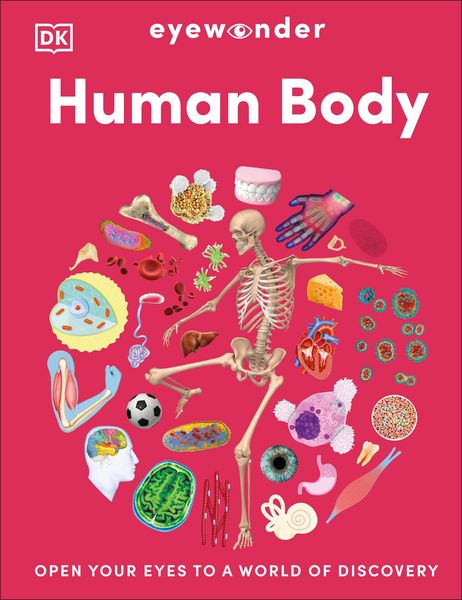 Produktbild: Eyewonder Human Body