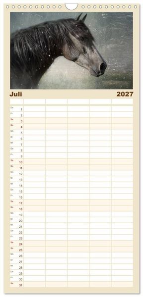Produktbild: Familienplaner 2027 - Pferde zum Tr&auml;umen mit 5 Spalten (Wandkalender, 21 x 45 cm) CALVENDO