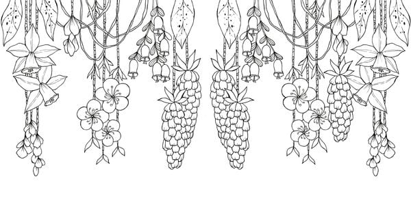 Produktbild: Tropical Flowers &ndash; Exotische Blumen- und Pflanzen-Motive ausmalen