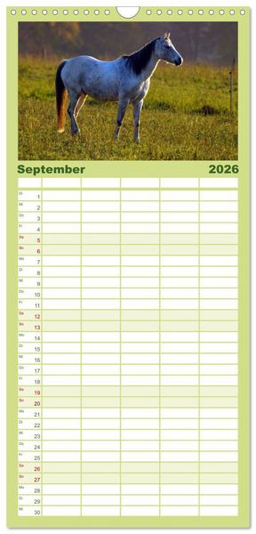 Produktbild: Familienplaner 2026 - Faszination Pferde mit 5 Spalten (Wandkalender, 21 x 45 cm) CALVENDO