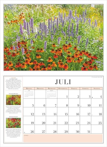 Produktbild: Garten-Kalender 2027