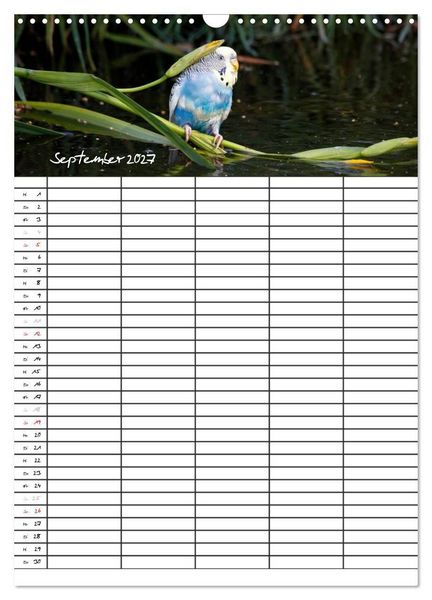 Produktbild: Wellensittiche (Wandkalender 2027 DIN A3 hoch), CALVENDO Monatskalender