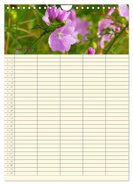 Produktbild: Der Naturgarten Familienplaner (Wandkalender 2026 DIN A4 hoch), CALVENDO Monatskalender