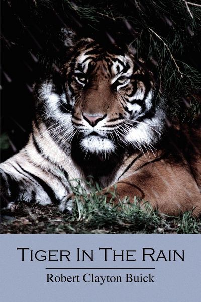 Produktbild: Tiger in the Rain