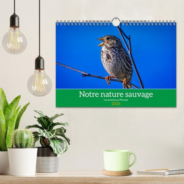 Produktbild: Notre nature sauvage, les passereaux d'Europe (Calendrier mural 2026 DIN A4 vertical), CALVENDO calendrier mensuel