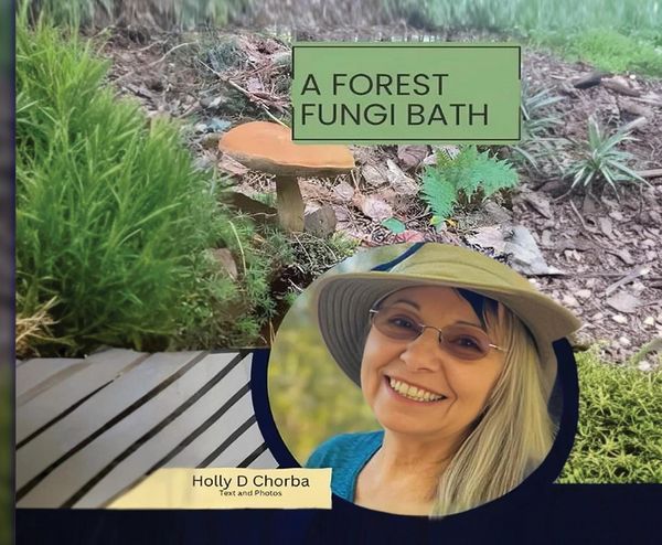 Produktbild: A forest fungi bath