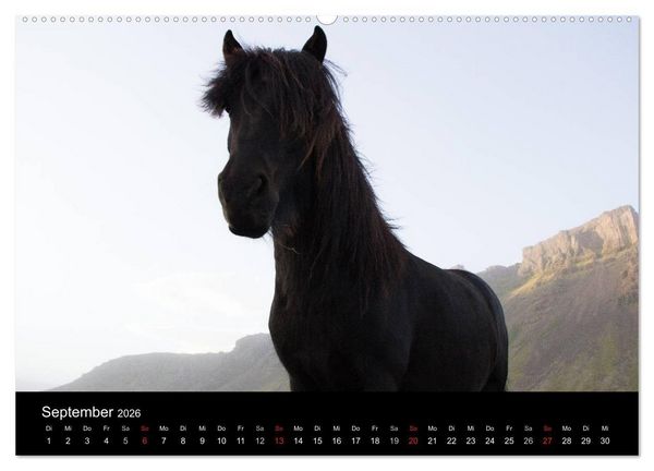 Produktbild: Islandpferde (Wandkalender 2026 DIN A2 quer), CALVENDO Monatskalender