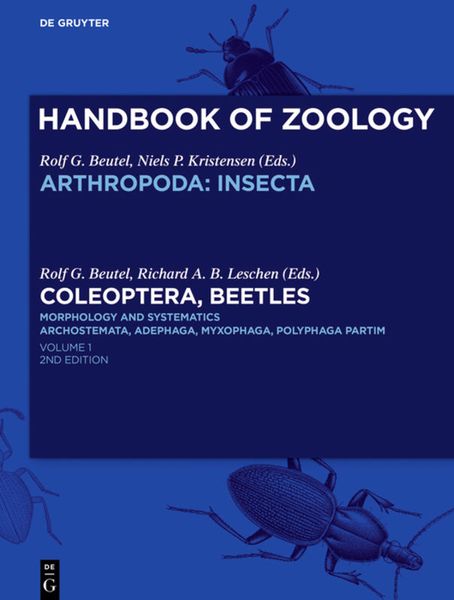 Produktbild: Coleoptera, Beetles. Morphology and Systematics