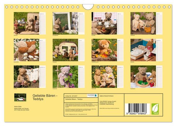 Produktbild: Geliebte B&auml;ren - Teddys (Wandkalender 2026 DIN A4 quer), CALVENDO Monatskalender