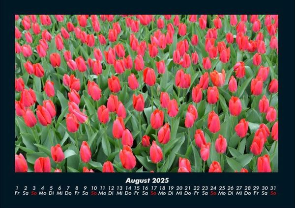 Produktbild: Blumenzauber 2025 Fotokalender DIN A4