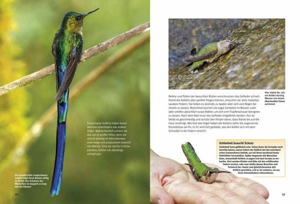 Produktbild: Entdecke die Kolibris