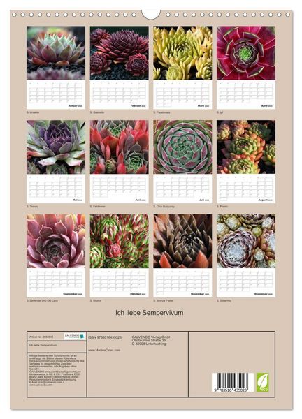 Produktbild: Ich liebe Sempervivum (Wandkalender 2026 DIN A3 hoch), CALVENDO Monatskalender