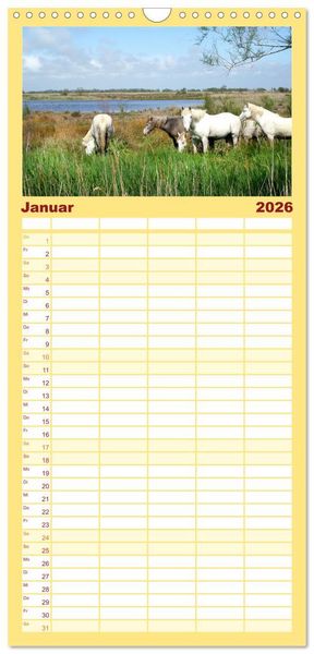 Produktbild: Familienplaner 2026 - Provence. Licht und Lebensfreude mit 5 Spalten (Wandkalender, 21 x 45 cm) CALVENDO