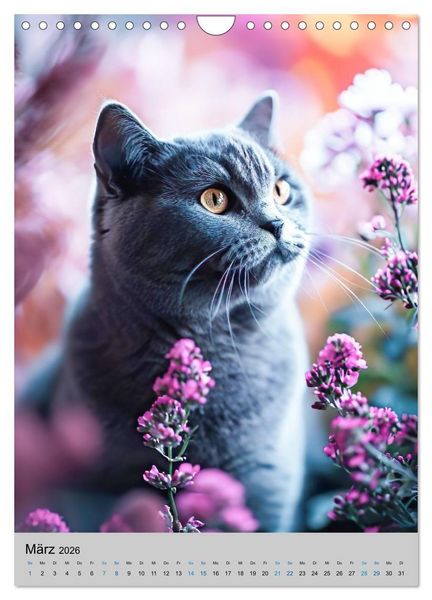 Produktbild: Samtige Schnurrer (Wandkalender 2026 DIN A4 hoch), CALVENDO Monatskalender