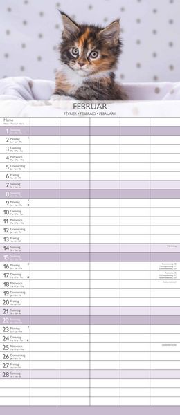 Kätzchen 2026 Familienplaner - Familienkalender - Wandkalender - 19,5x45
