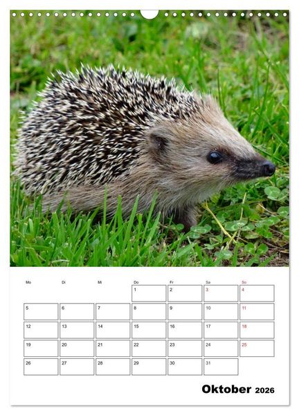 Produktbild: Heimische Wildtiere Terminplaner (Wandkalender 2026 DIN A3 hoch), CALVENDO Monatskalender