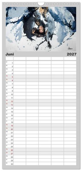 Produktbild: Familienplaner 2027 - FARBSPIELE - Akt im Feuerwerk der Farben mit 5 Spalten (Wandkalender, 21 x 45 cm) CALVENDO