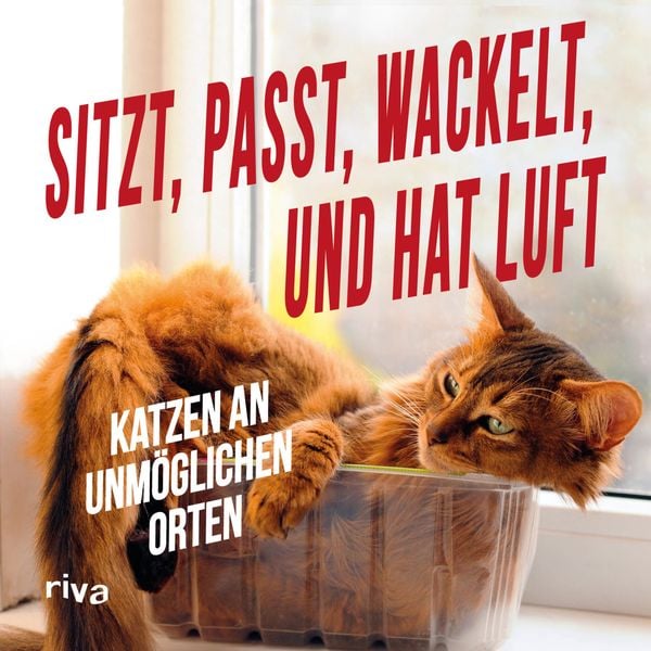 Produktbild: Sitzt, passt, wackelt und hat Luft