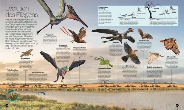 Produktbild: Reise durch die Natur