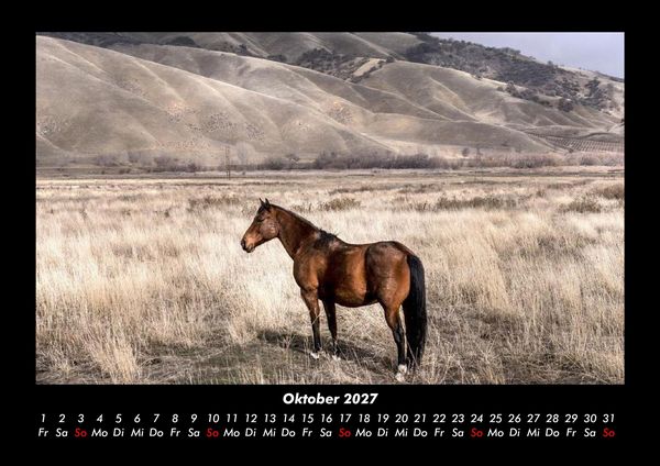 Produktbild: Pferdegefl&uuml;ster 2027 Fotokalender DIN A3
