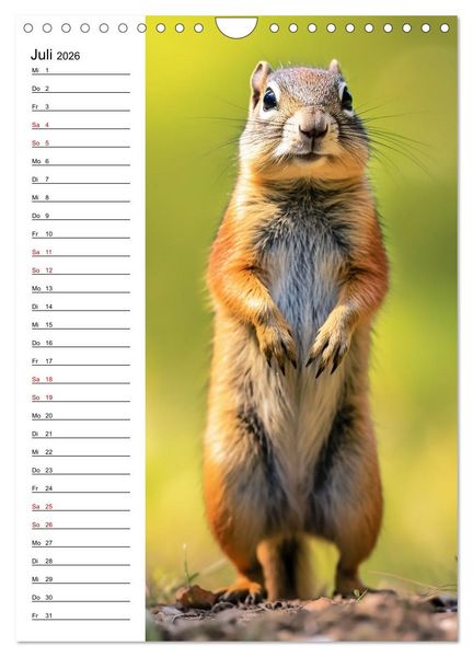 Produktbild: Ganz von vorn (Wandkalender 2026 DIN A4 hoch), CALVENDO Monatskalender