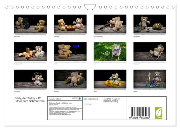 Produktbild: Eddy, der Teddy - 12 Bilder zum Schmunzeln (Wandkalender 2026 DIN A4 quer), CALVENDO Monatskalender