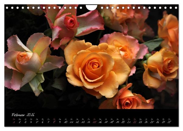 Produktbild: Soul-Jazz - Visuelle Musik der Blumen (Wandkalender 2026 DIN A4 quer), CALVENDO Monatskalender