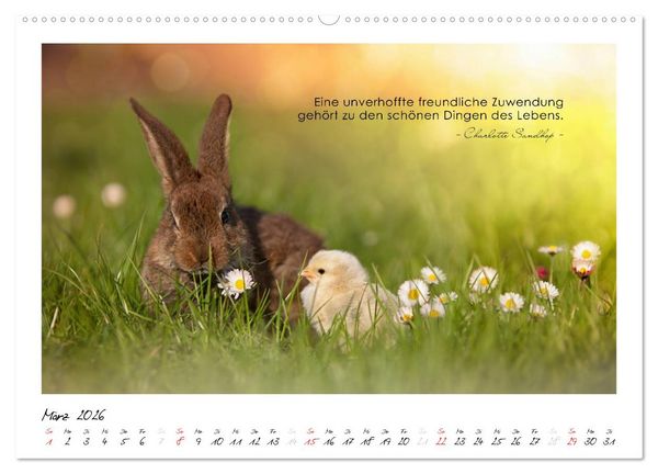 Produktbild: Mit guten Gedanken durch das Jahr (hochwertiger Premium Wandkalender 2026 DIN A2 quer), Kunstdruck in Hochglanz