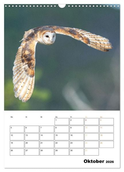 Produktbild: Wilde Tiere: Zuhause in Wald und Flur (Wandkalender 2026 DIN A3 hoch), CALVENDO Monatskalender