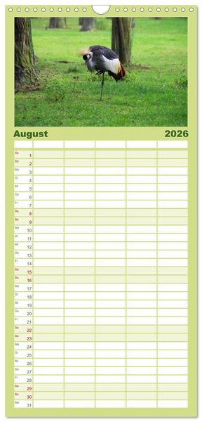 Produktbild: Familienplaner 2026 - Welt der Tiere mit 5 Spalten (Wandkalender, 21 x 45 cm) CALVENDO
