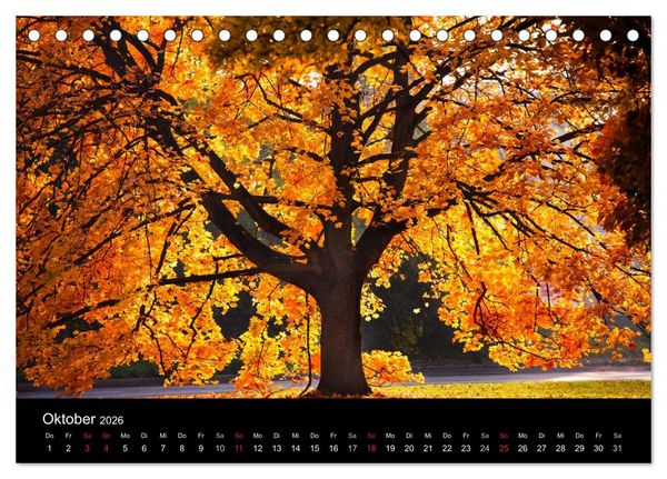 Produktbild: Farben der Natur (Tischkalender 2026 DIN A5 quer), CALVENDO Monatskalender