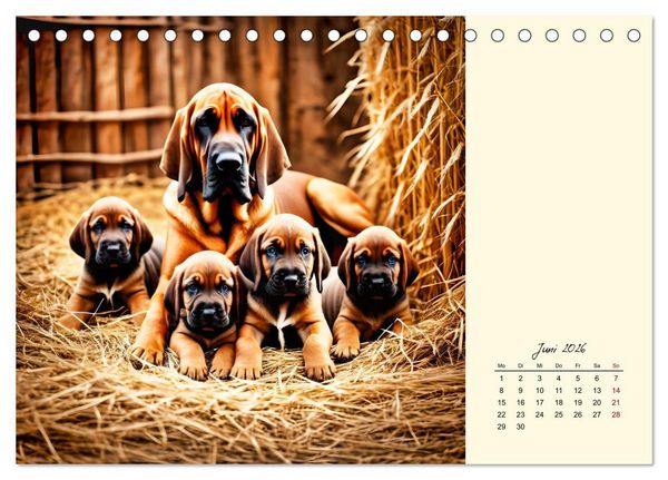 Produktbild: Bloodhound - M&auml;chtige Sp&uuml;rnase (Tischkalender 2026 DIN A5 quer), CALVENDO Monatskalender