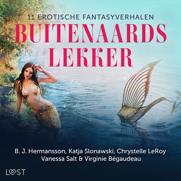Produktbild: Buitenaards lekker: 11 erotische fantasyverhalen