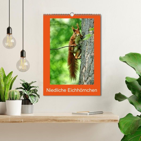 Produktbild: Niedliche Eichh&ouml;rnchen (Wandkalender 2026 DIN A3 hoch), CALVENDO Monatskalender