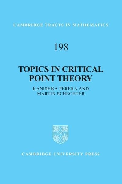 Produktbild: Topics in Critical Point Theory