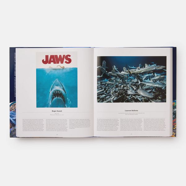 Produktbild: Ocean, Exploring the Marine World