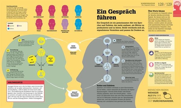 Produktbild: #dkinfografik. Das menschliche Gehirn und wie es funktioniert