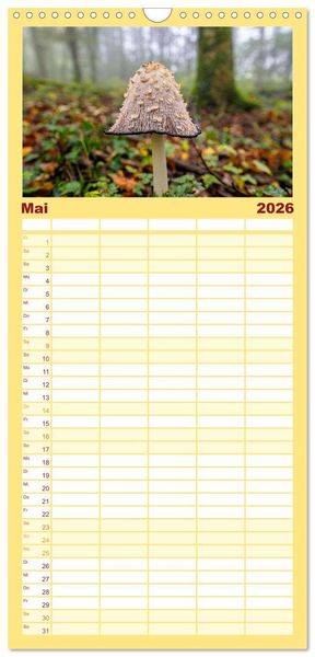 Produktbild: Familienplaner 2026 - Fantastische Pilzwelten mit 5 Spalten (Wandkalender, 21 x 45 cm) CALVENDO
