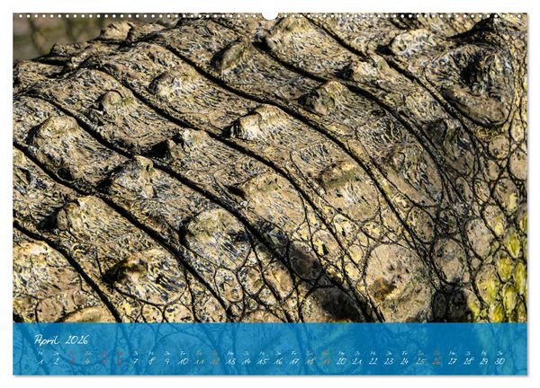 Produktbild: Natur abstrakt Farben und Strukturen (Wandkalender 2026 DIN A2 quer), CALVENDO Monatskalender