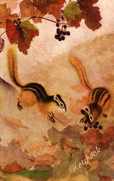 Eichhörnchen - Notizbuch, Taschenbuch von Theo Taane, BoD – Books on Demand, 9783738628807