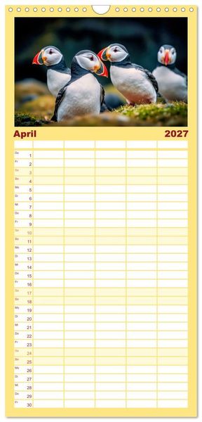 Produktbild: Familienplaner 2027 - Tieftaucher Papageitaucher mit 5 Spalten (Wandkalender, 21 x 45 cm) CALVENDO