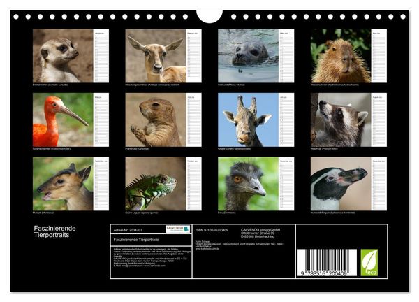 Produktbild: Faszinierende Tierportraits (Wandkalender 2026 DIN A4 quer), CALVENDO Monatskalender