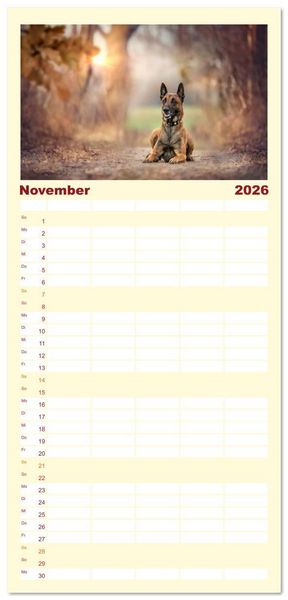 Produktbild: Familienplaner 2026 - Traumhund Malinois mit 5 Spalten (Wandkalender, 21 x 45 cm) CALVENDO
