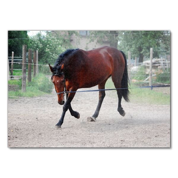 Produktbild: Lais Puzzle Pferd 1000 Teile