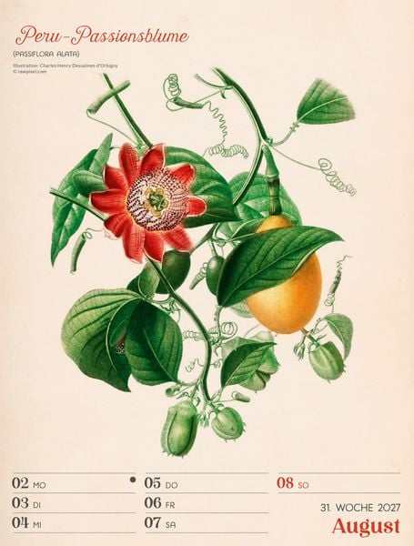 Produktbild: Ars Floralis Wochenplaner Kalender 2027