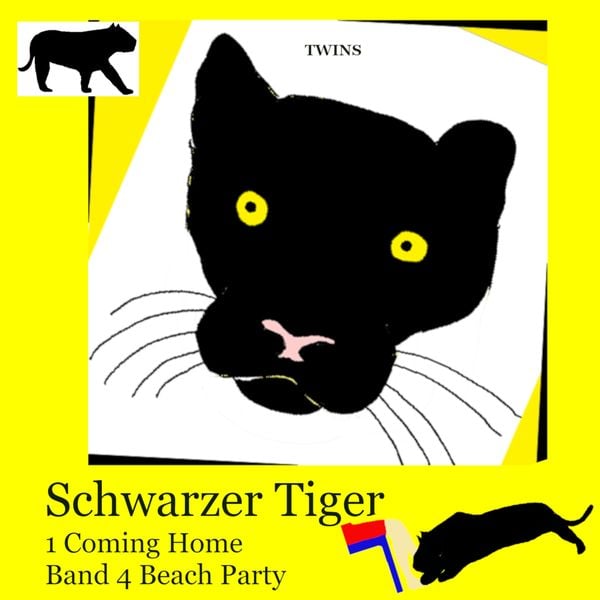 Schwarzer Tiger 1 Coming Home - TWINS, Audio, 9783989839656