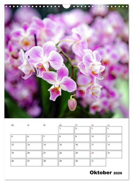 Produktbild: Orchideen - Tropische Sch&ouml;nheiten (Wandkalender 2026 DIN A3 hoch), CALVENDO Monatskalender